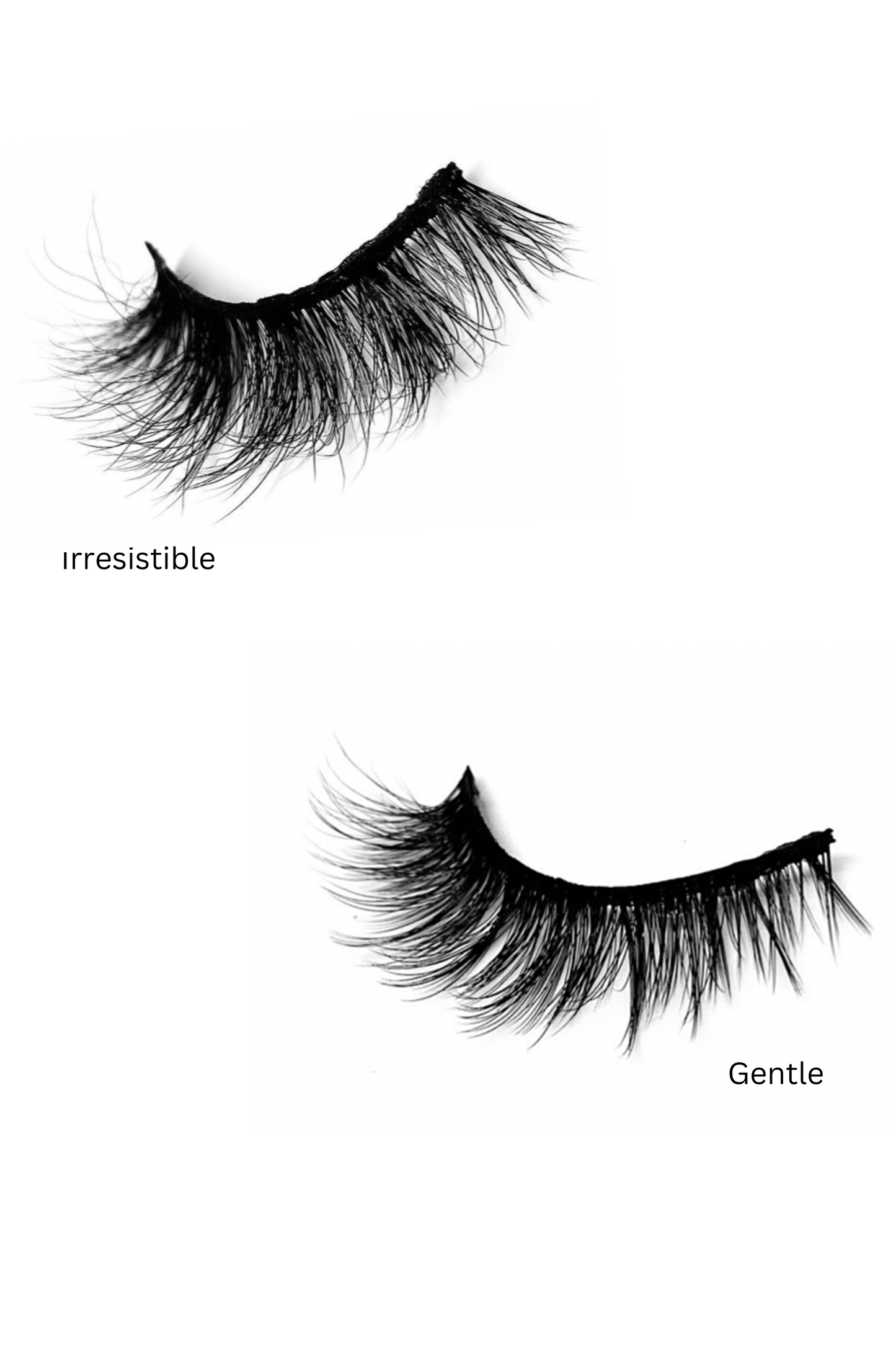 Lash Bundles