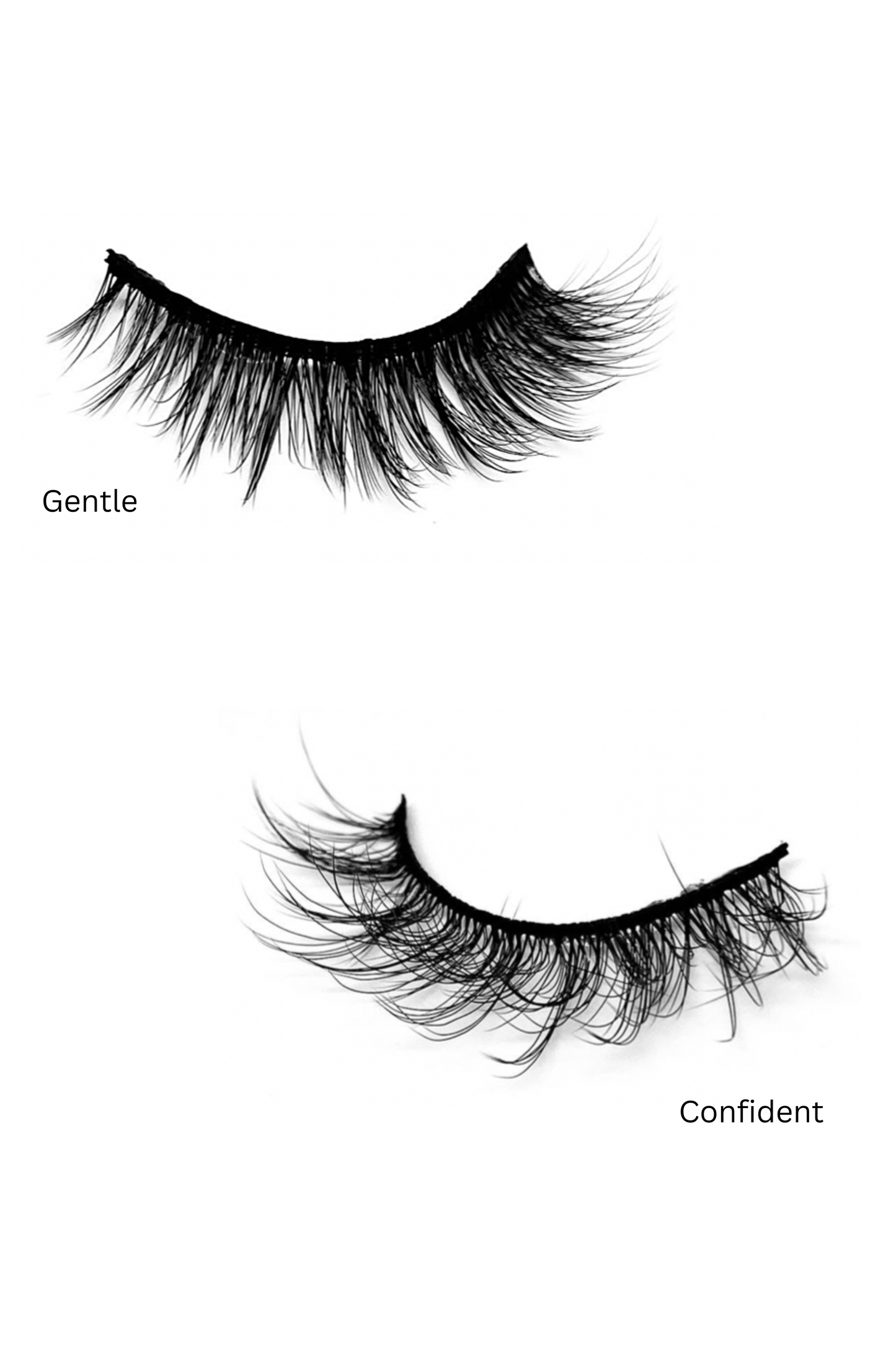 Lash Bundles