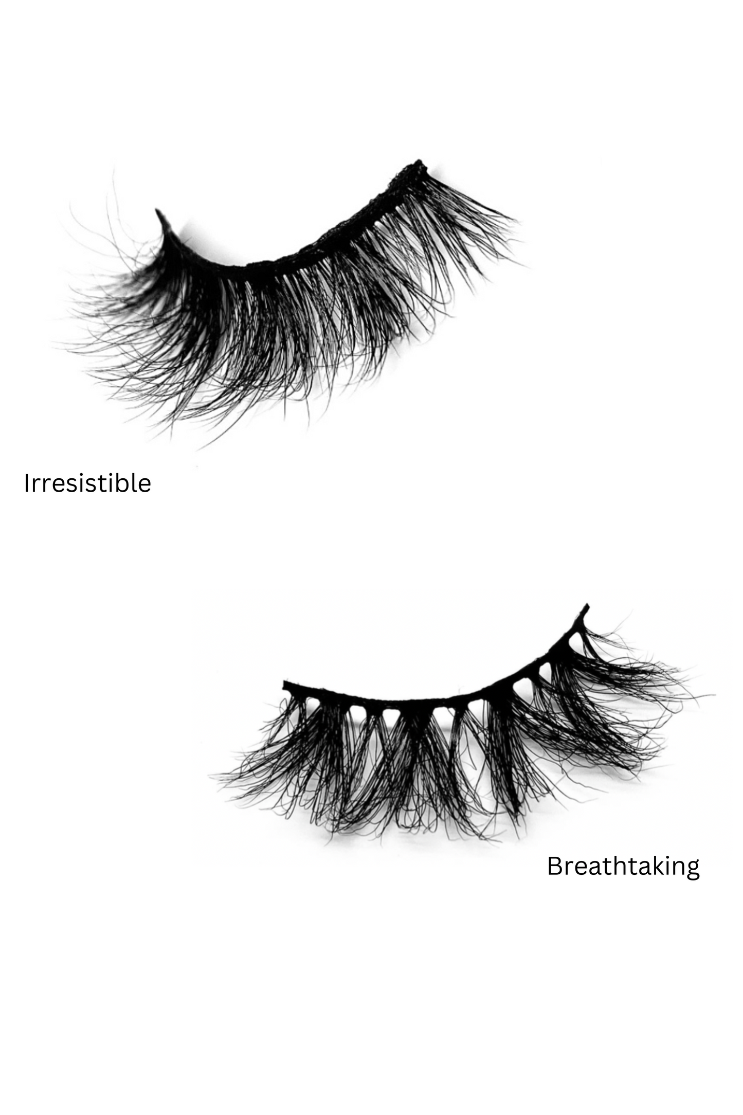 Lash Bundles